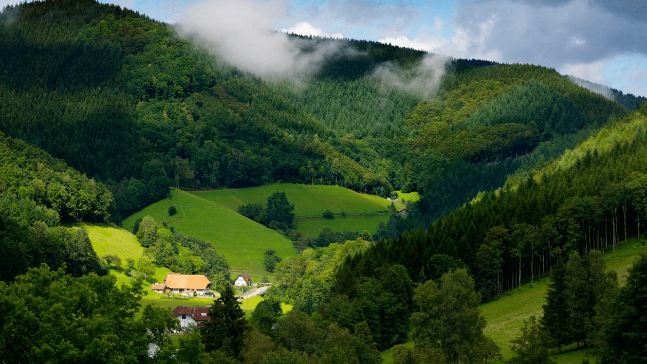 Selva Negra, paisajes alemanes