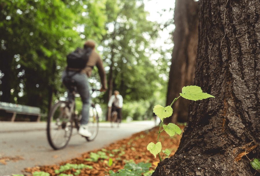 actividades de turismo ecológico