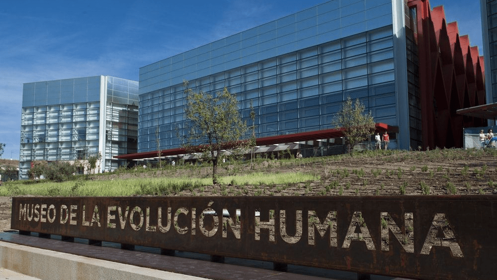 Mejores Museos de España: Museo de la Evolución Humana