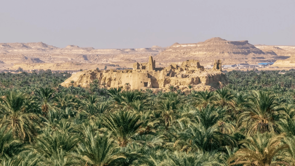 Oasis de Siwa, Egipto. Cosas que hacer y que ver en Egipto. Viajar a Egipto.