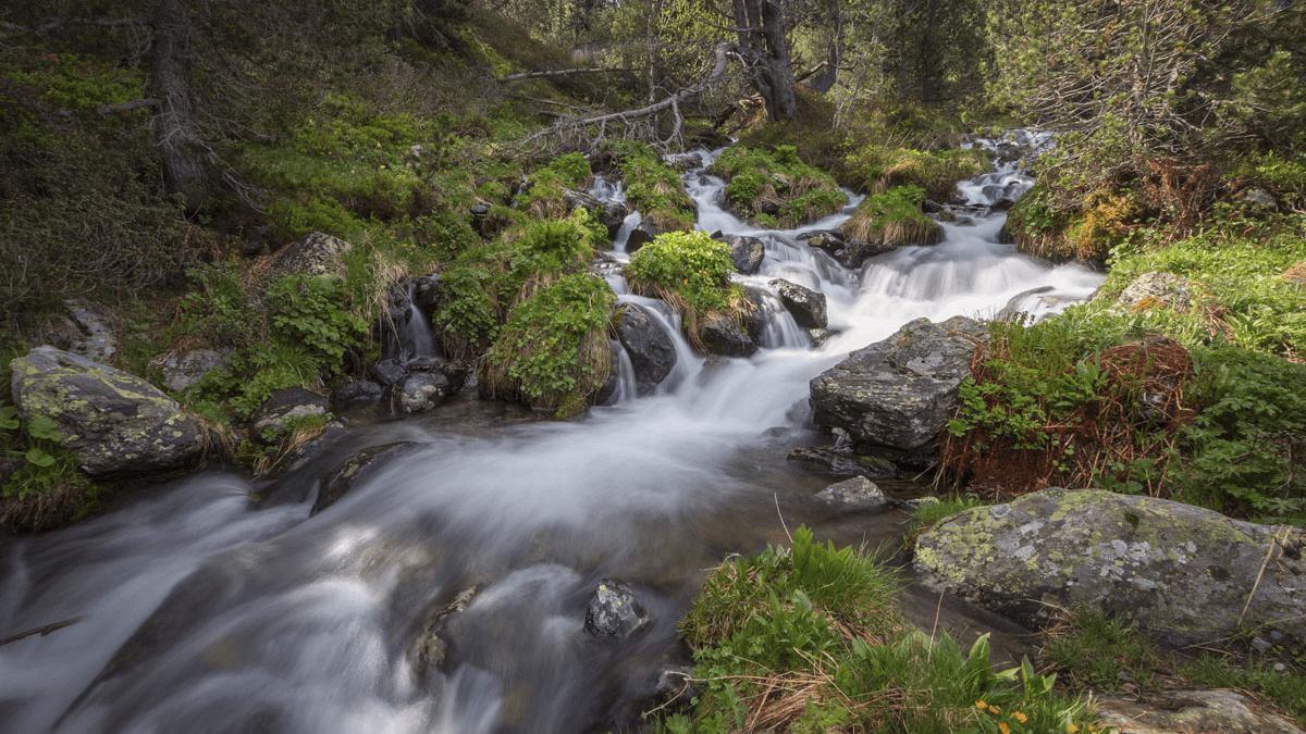 10 lugares que ver en Andorra. Parc Natural del Sorteny
