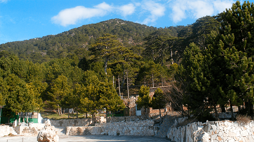 Parque Nacional de Llogara, Albania.