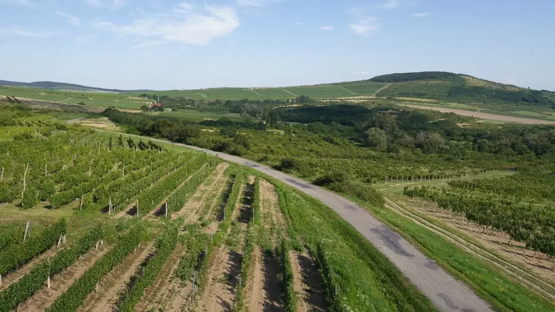 Tokaj. Cosas que ver en Hungría