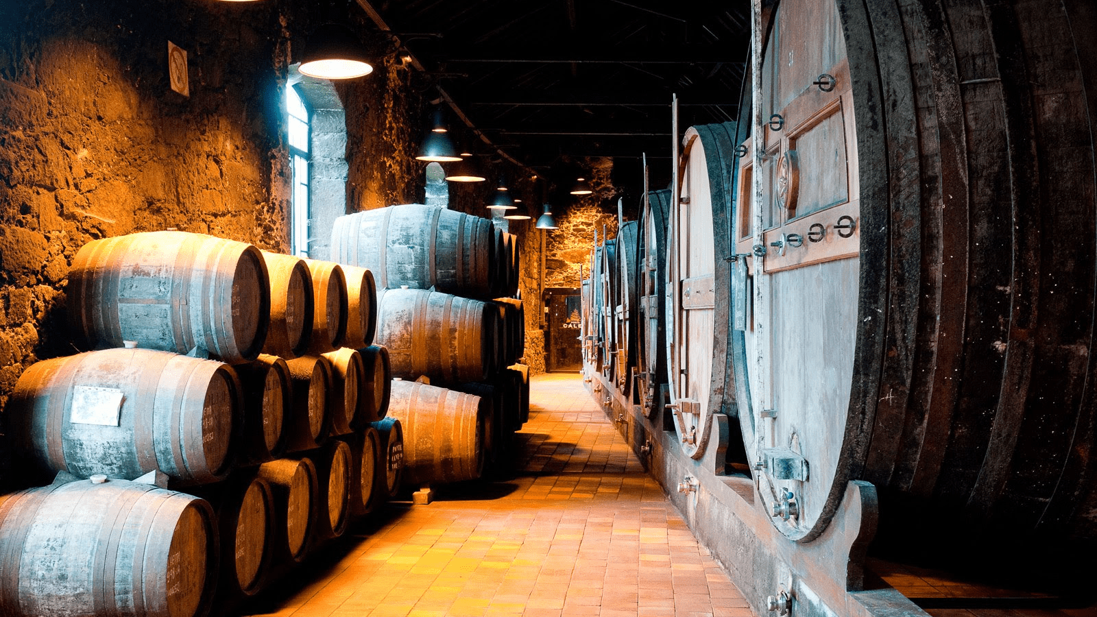 Bodegas de Vino en Oporto. Cosas que ver en Portugal