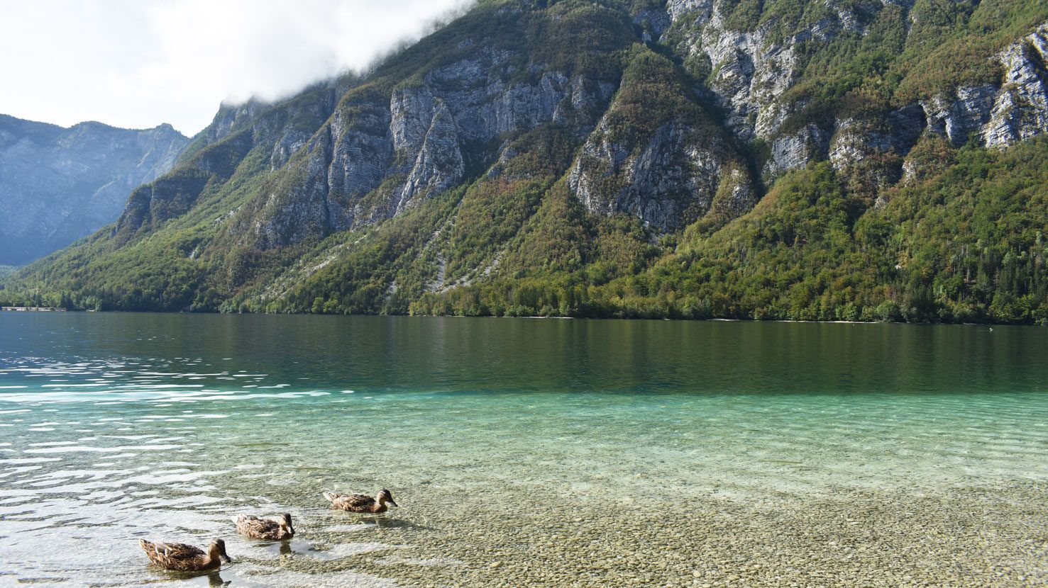 El Lago Bohinj, cosas que ver en Eslovenia.